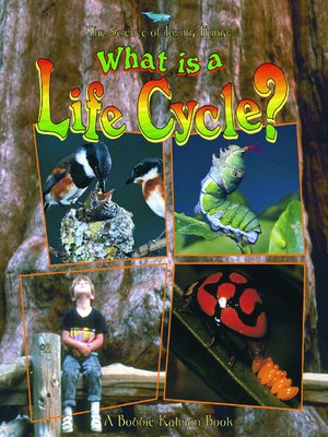 cover image of What is a Life Cycle?
